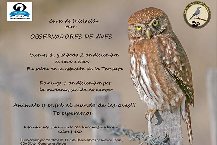 Cursos de Avistajes de Aves en Esquel