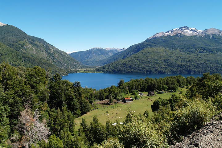 Canopy en Patagonia